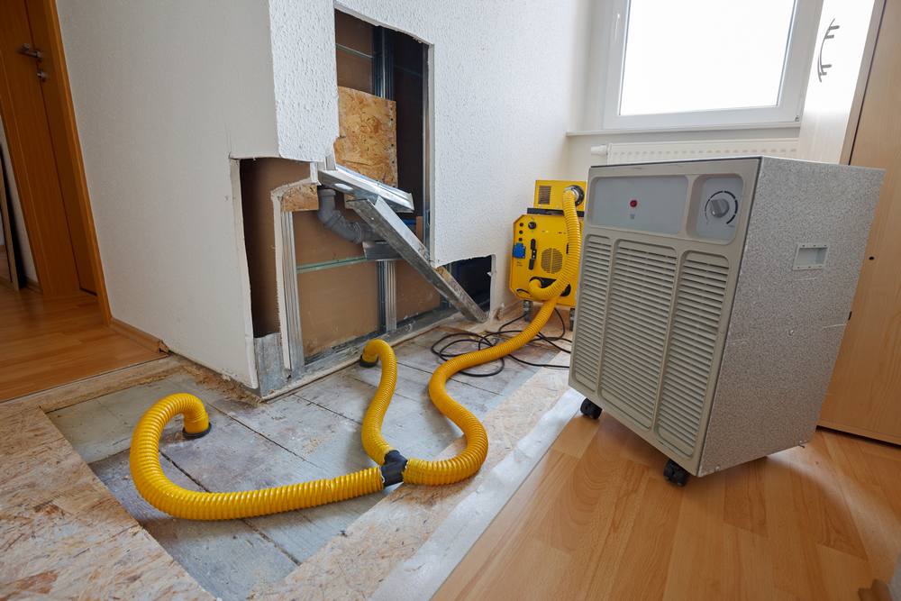 5 Steps to Take Immediately After Discovering Water Damage