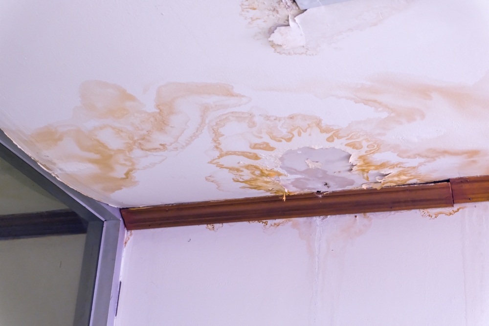 How to Spot Early Signs of Water Damage in Your Home