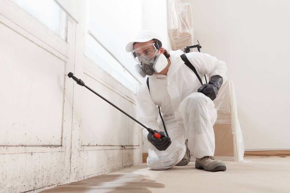 Mold Remediation