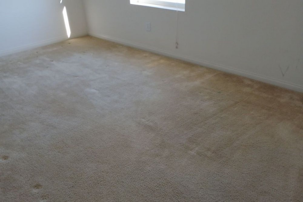 Why Carpet Cleaning is Essential for a Healthier Home