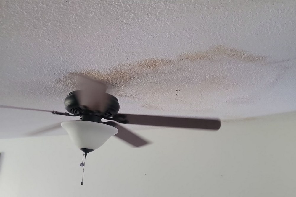 What Are The Health Risks Of Ignoring Water Damage In Your Home?