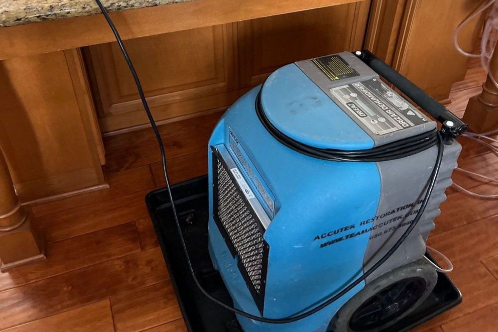 Flood Damage Restoration: Why Speed and Expertise Matter