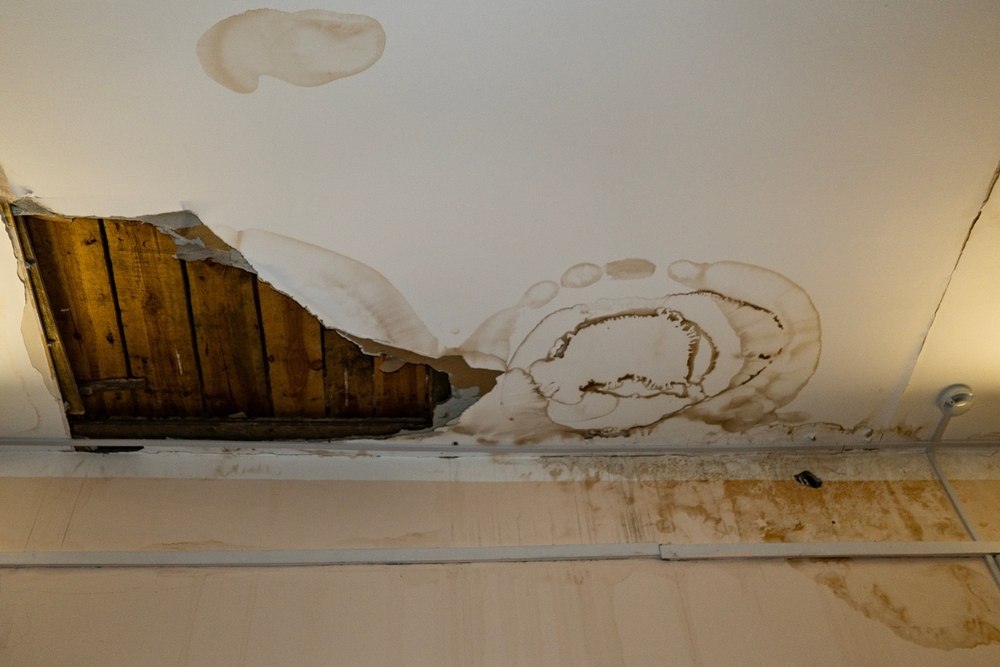 How to Identify and Address Hidden Water Damage in Your Home