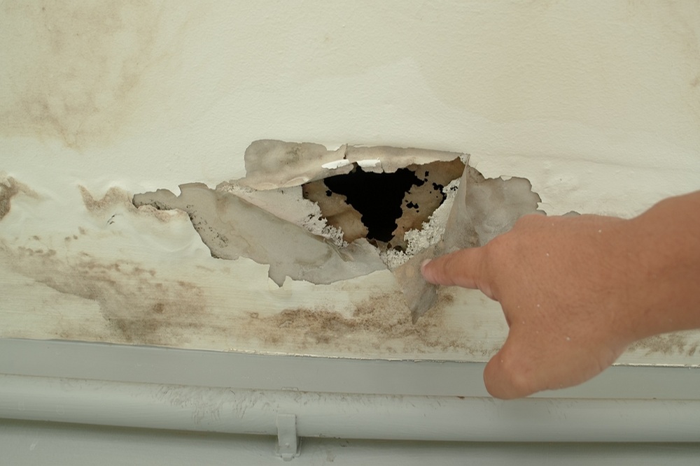Protecting Your Home from Water Damage in Any Season: Key Preventive Measures